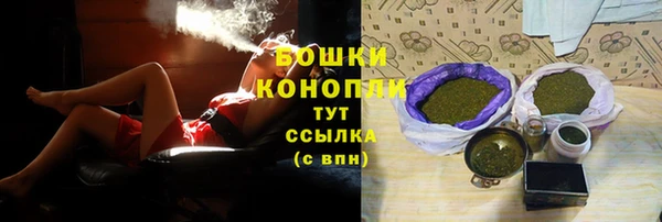 гидра Лихославль