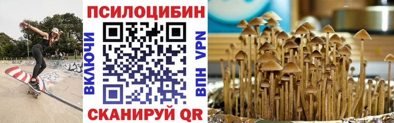 Галлюциногенные грибы MAGIC MUSHROOMS  где найти наркотики  Чистополь 